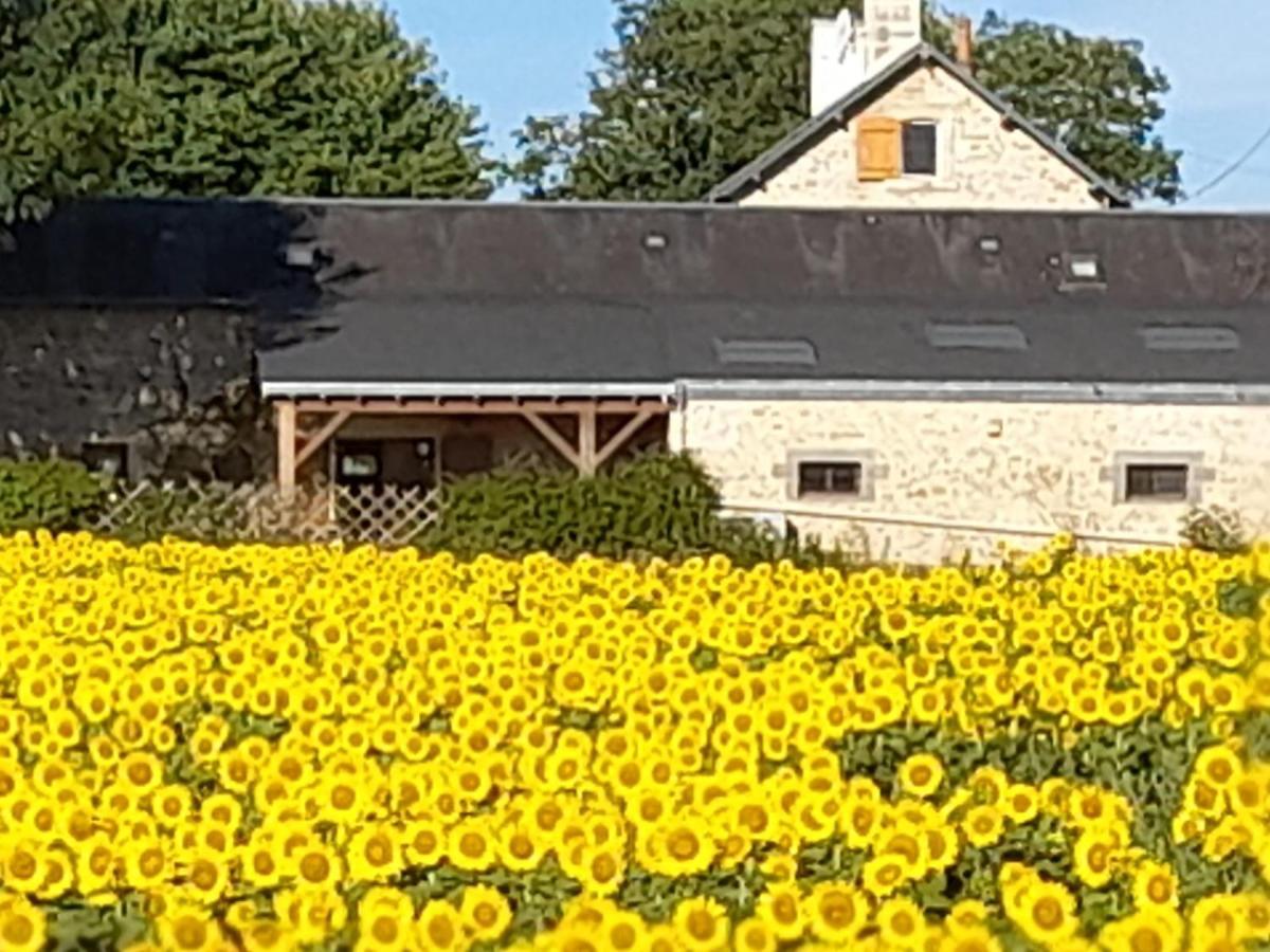 Saint-Georges-de-Noisné 3 Self-Contained Gites With Pool And Games Room מראה חיצוני תמונה